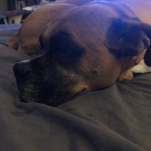 Meet your Posher, Penny